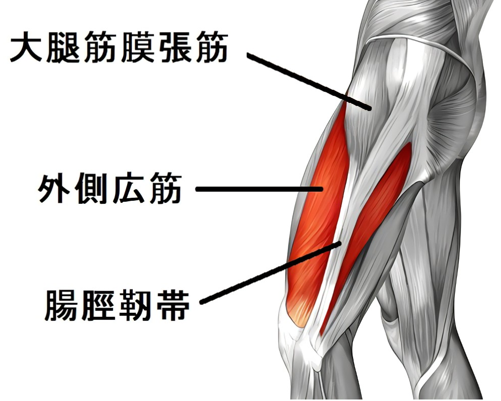 大腿筋膜張筋、外側広筋を緩めて脱下半身太り